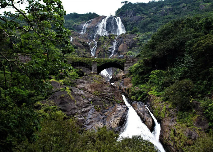 Dudhsagar Waterfall trip with private taxi service for a comfortable journey