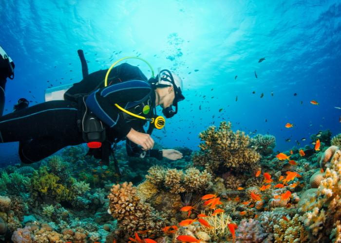Scuba diving in Goa with taxi service for hassle-free experience